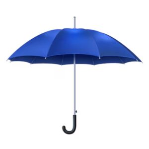 BMW Umbrella